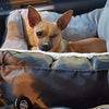 PAWRIDER Detachable Dog Car Seat Comfort and Cleanliness