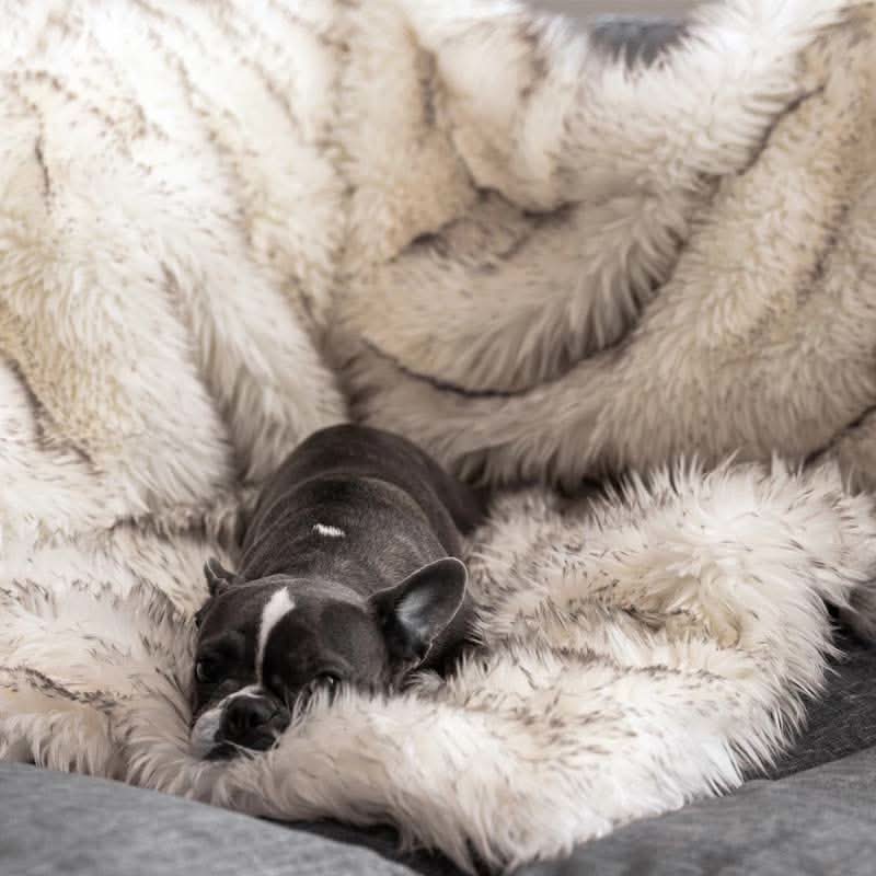FURGUARD - Waterproof Pet Blanket