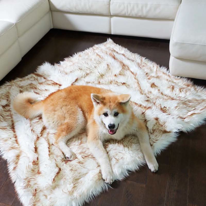 FURGUARD - Waterproof Pet Blanket