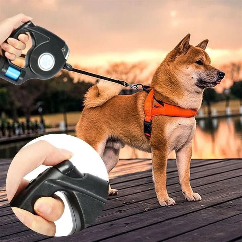 Amélie Lumière – LED Dog Leash With Integrated Flashlight For Safe Evening Walks