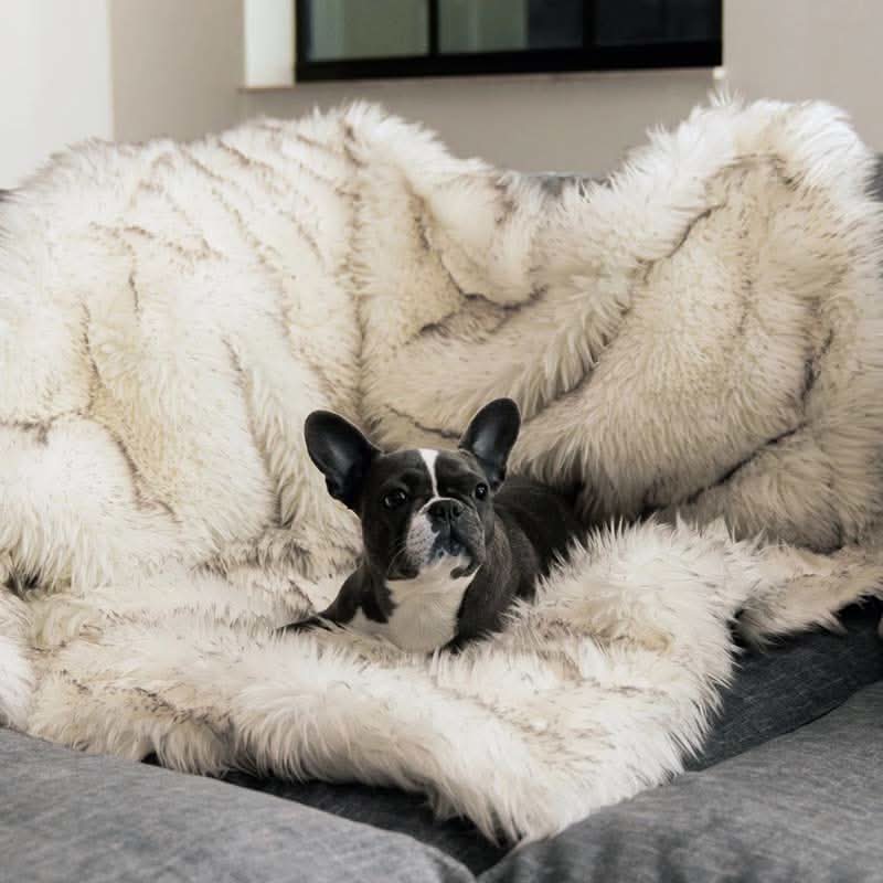 FURGUARD - Waterproof Pet Blanket
