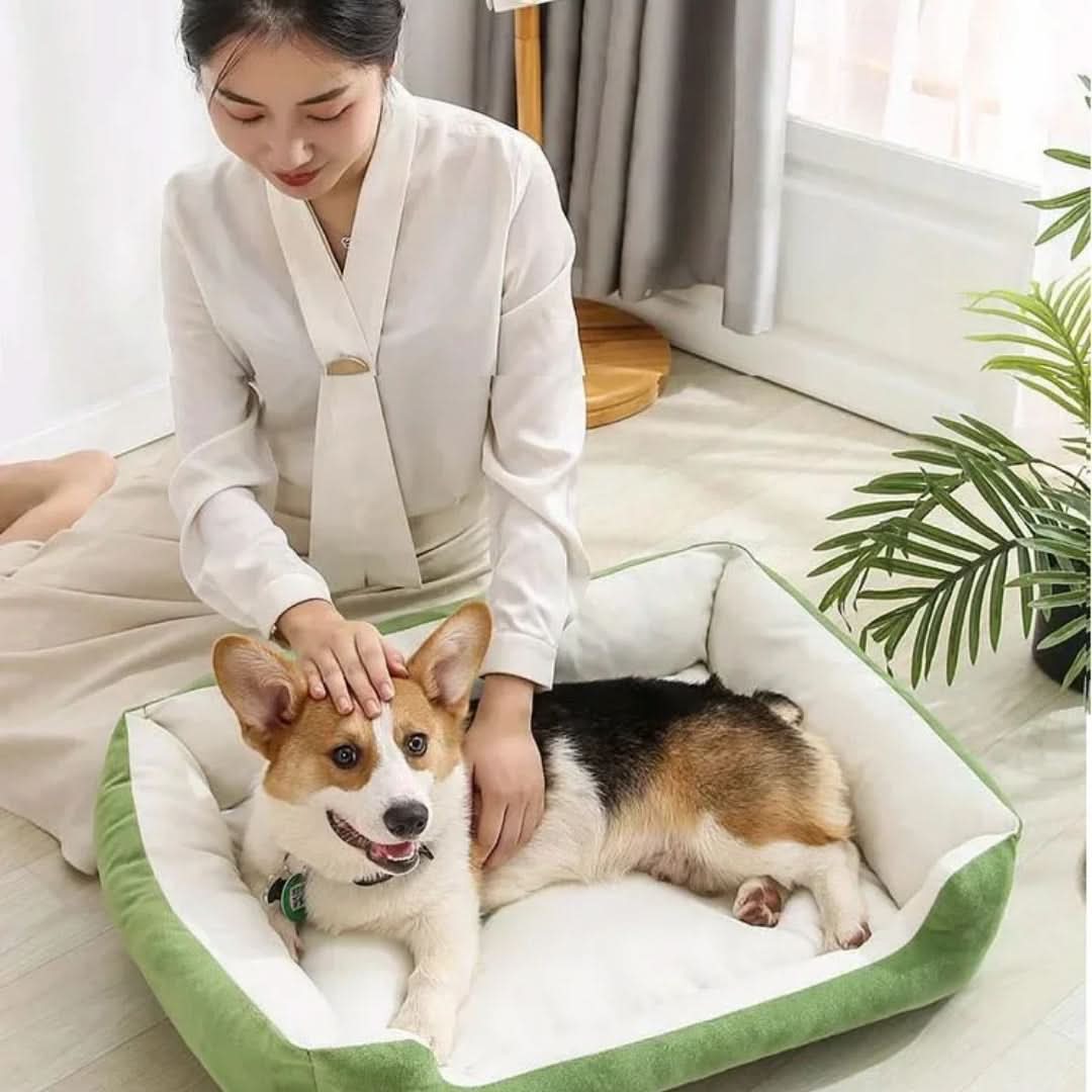 CUDDLIX Pet Bed Warm Safe Cozy Retreat