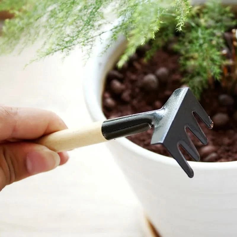 Lushio - Essential Mini Gardening Tools