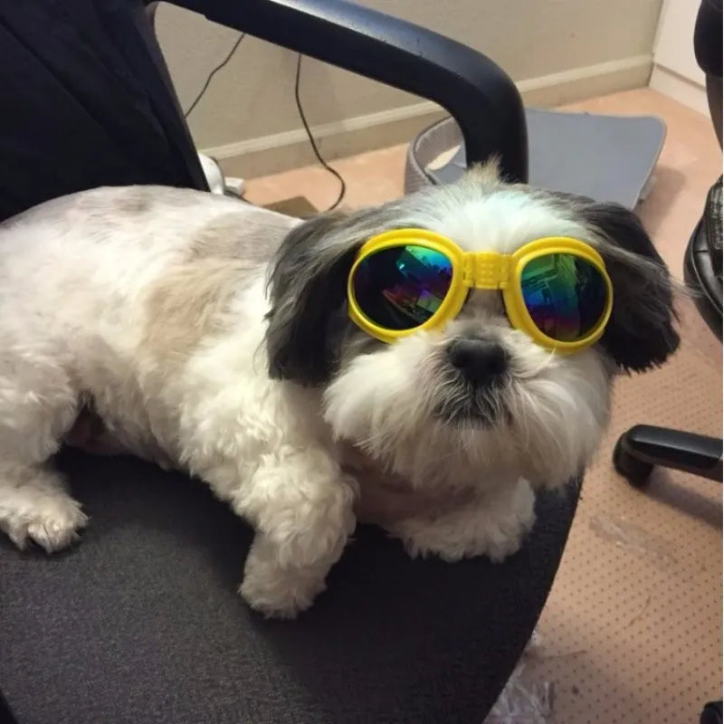 Hundegoggles UV-Schutzbrille in 7 Farben für Hunde