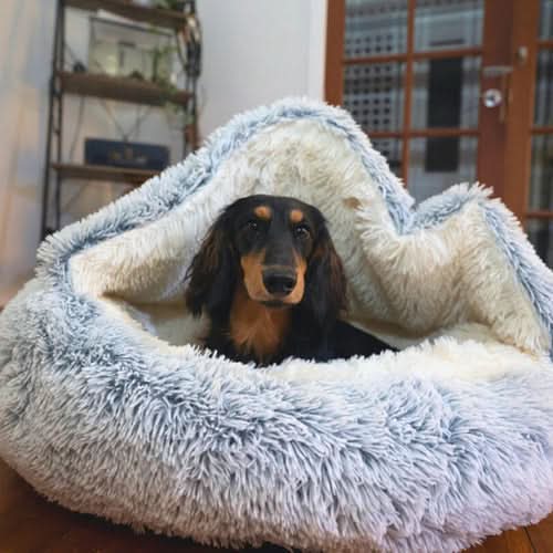 COZYRO Soft Dog Bed for Stress Reduction and Relaxation for Anxious Dogs