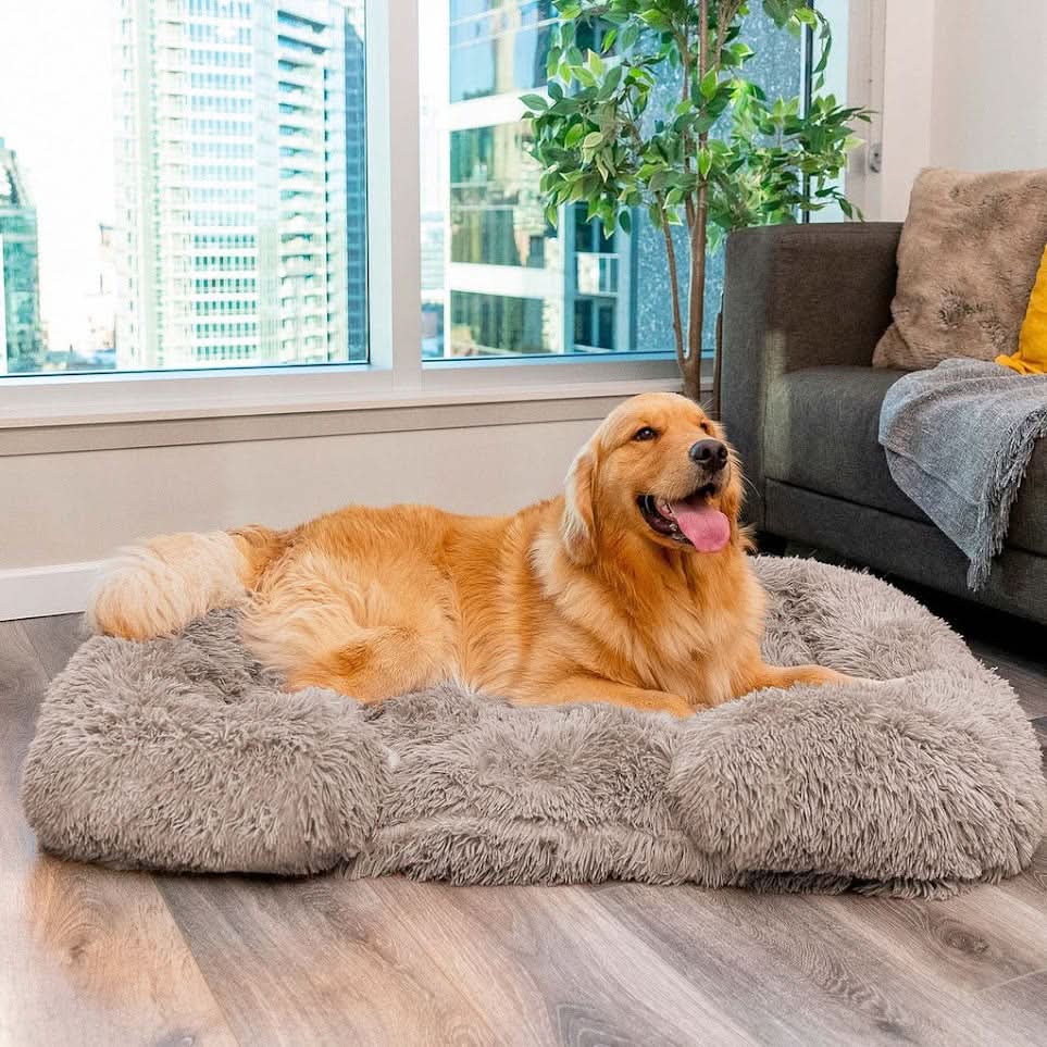 SNUGPAW - Orthopedic Dog Bed