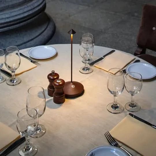 Cordless Spike Light – Cordless, Dimmable LED Light for Indoor and Outdoor Use | Weatherproof Design