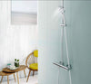 Flexfluss – Flexible Stainless Steel Shower Hose