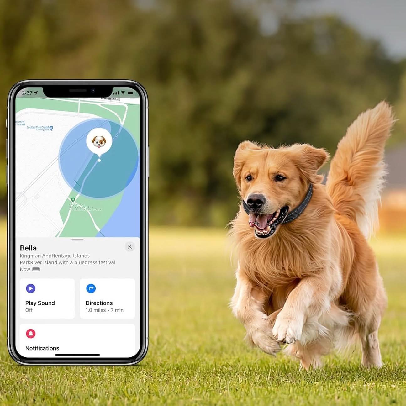 LEAZO - Dog Collar Tracker