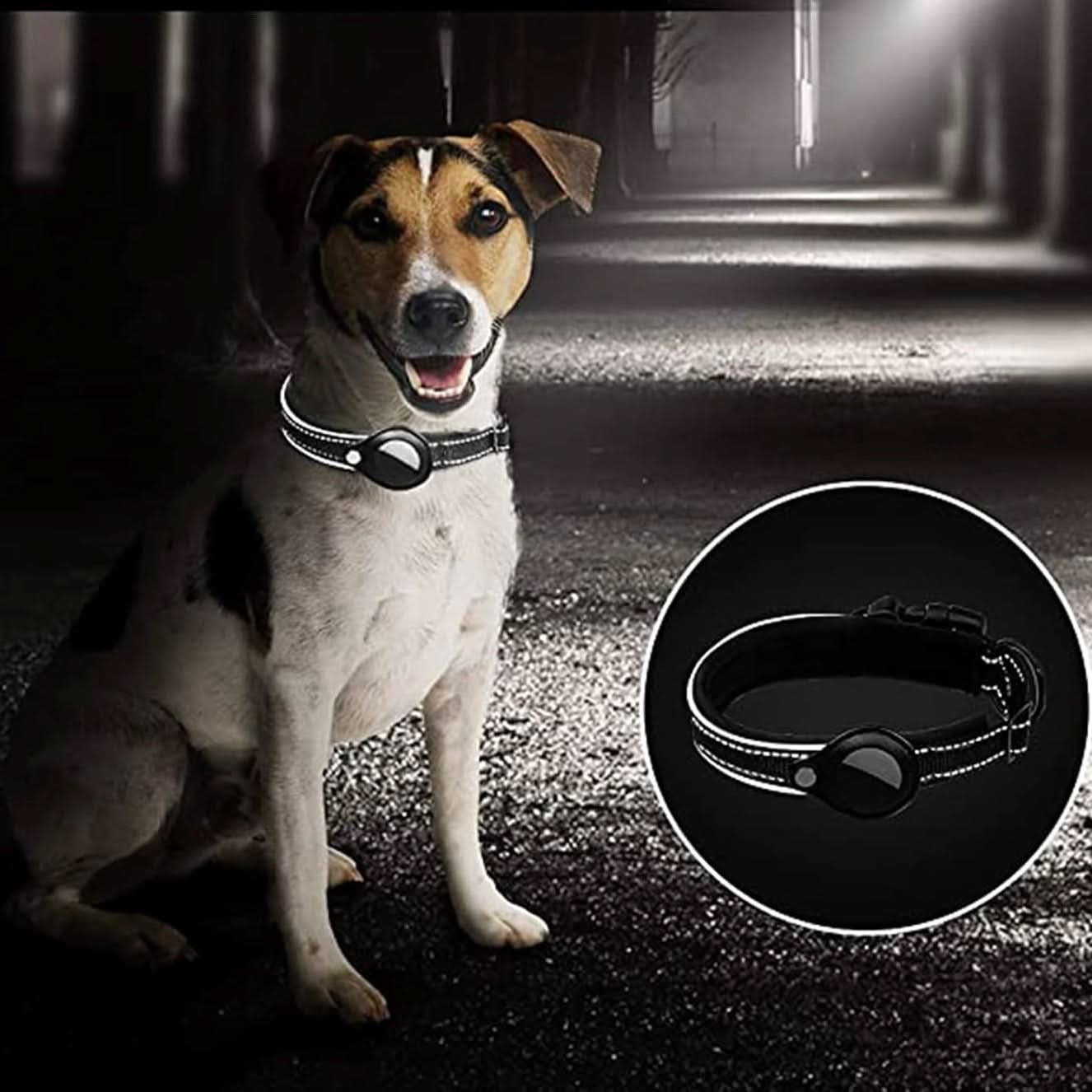 LEAZO - Dog Collar Tracker