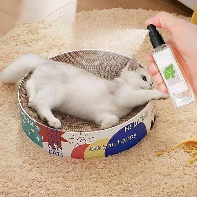 Katzenminze Katzenspray