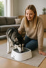 TrinkWächter – Anti-Spill Water Bowl For Clean Floors