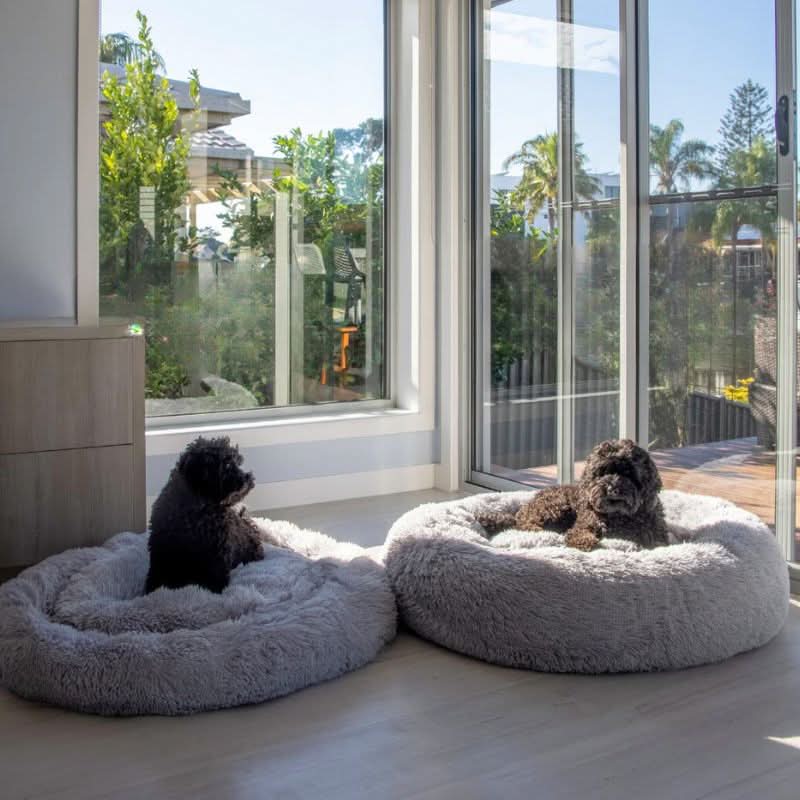 PAWLOFT - Calming Pet Bed