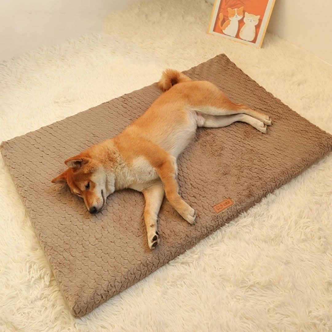 LUXIPLUSH - Orthopedic Dog Bed