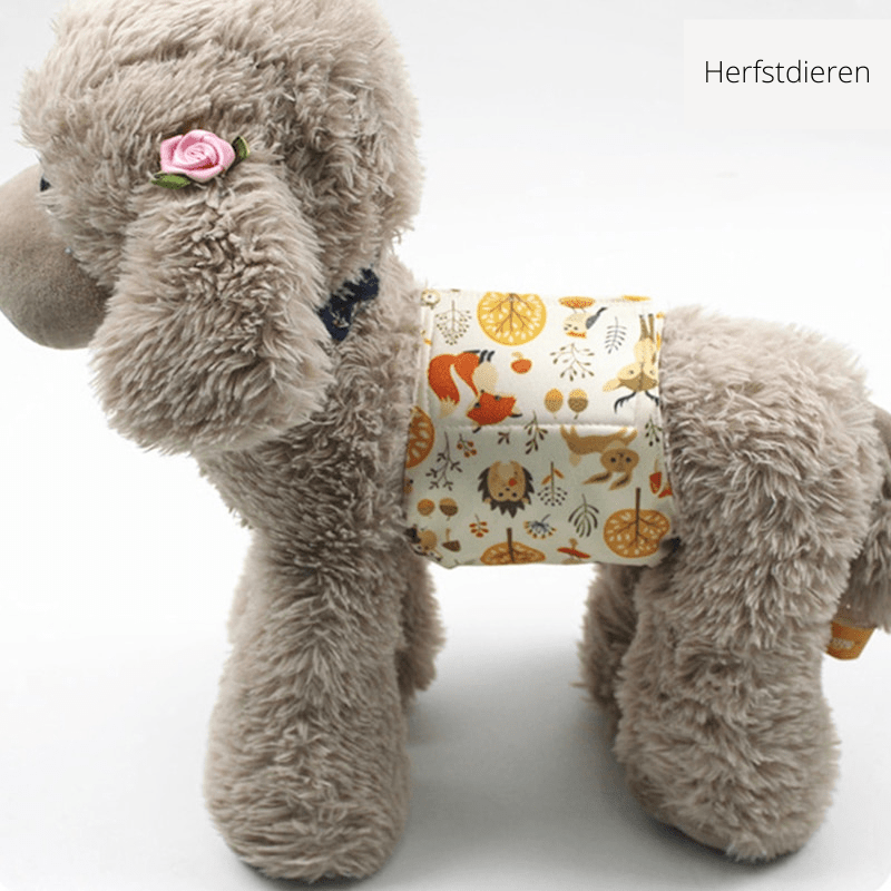 CLEANPAW – Washable Dog Diapers for Heat and Incontinence