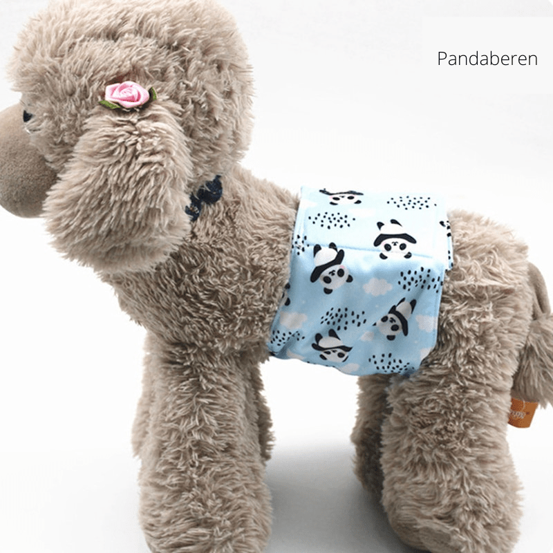 CLEANPAW – Washable Dog Diapers for Heat and Incontinence
