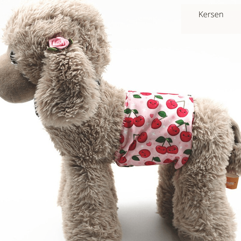 CLEANPAW – Washable Dog Diapers for Heat and Incontinence