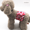 CLEANPAW – Washable Dog Diapers for Heat and Incontinence