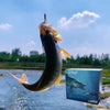 Castmas – Advent Calendar 2025 for Anglers with 24 Unique Lures