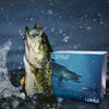Castmas – Advent Calendar 2025 for Anglers with 24 Unique Lures