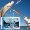 FISHMAS - 24 Day Christmas 2025 Countdown Fishing Tackle Set