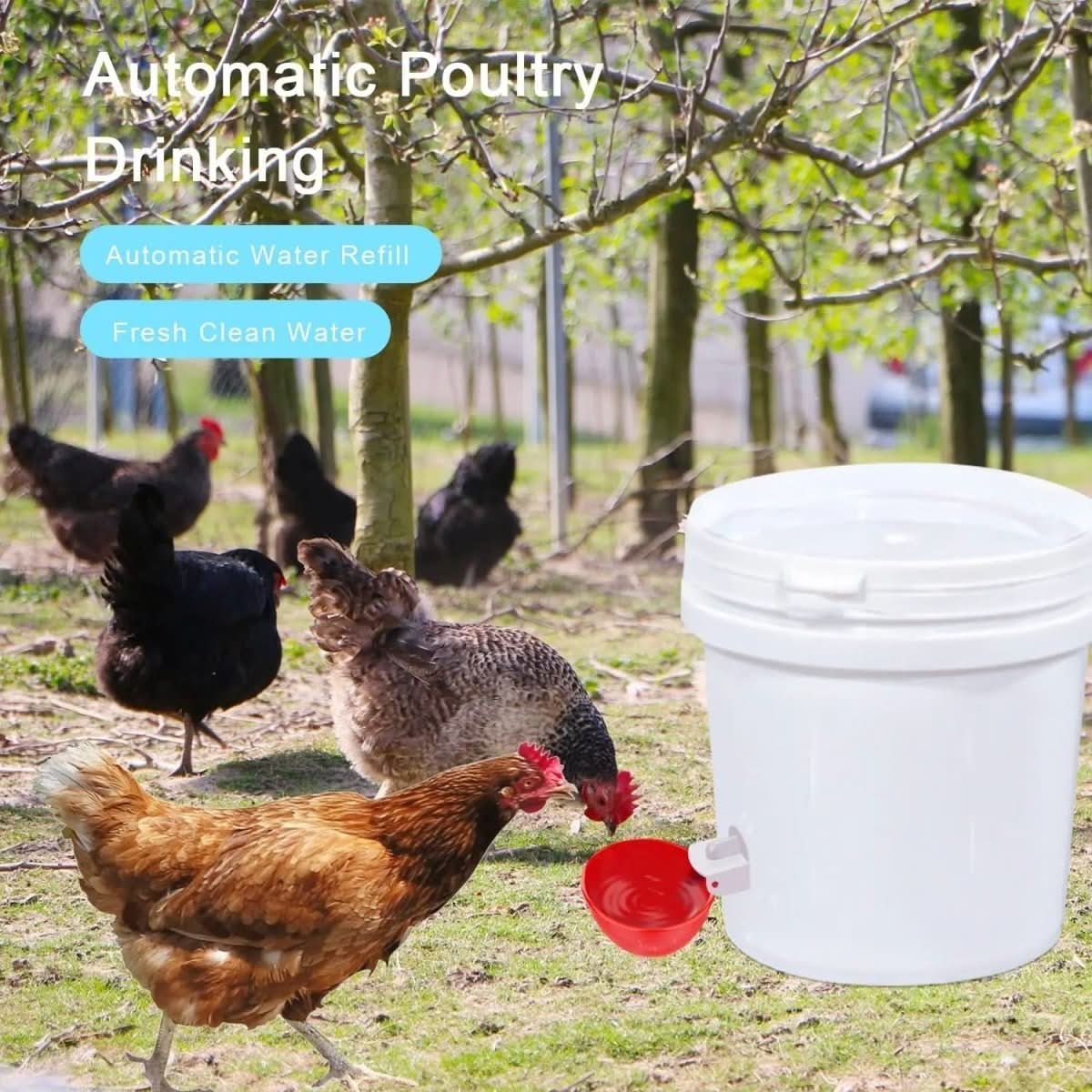 CLUCKFLOW – Automatic Chicken Waterer For Healthy Flocks