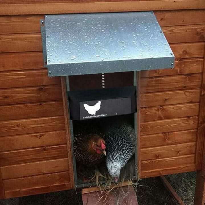 AutoCoop – Automatic Chicken Coop Door with Light Sensor and Weather Protection
