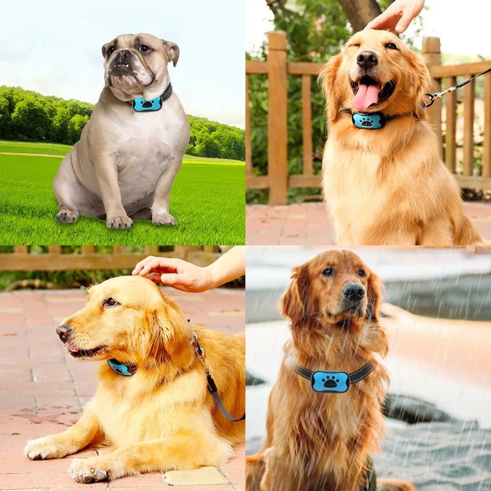 BARKTONE – Anti-Bell-Hundehalsband mit Schallwellentechnologie und verstellbarer Passform 4
