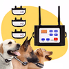 Pet Safety – Wireless Security and Training System for Dogs