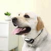 Pet Safety – Wireless Security and Training System for Dogs