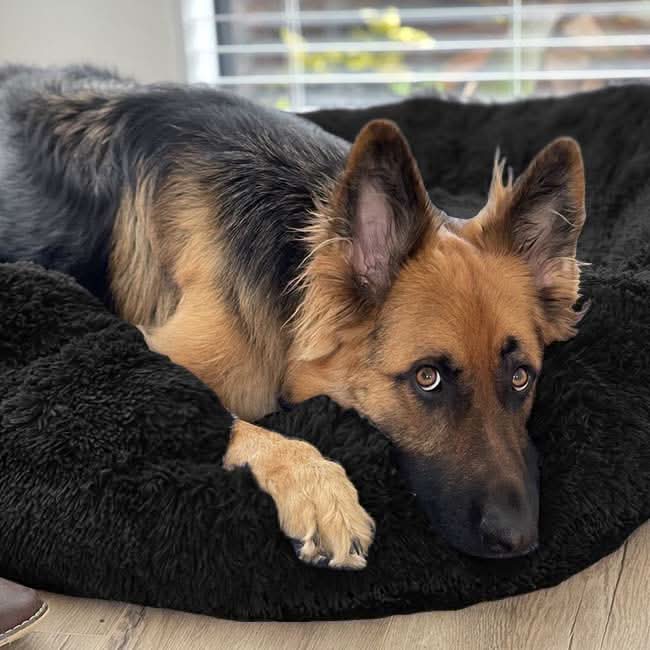FUZZYPLUSH – Orthopedic Plush Dog Bed For Deep Sleep