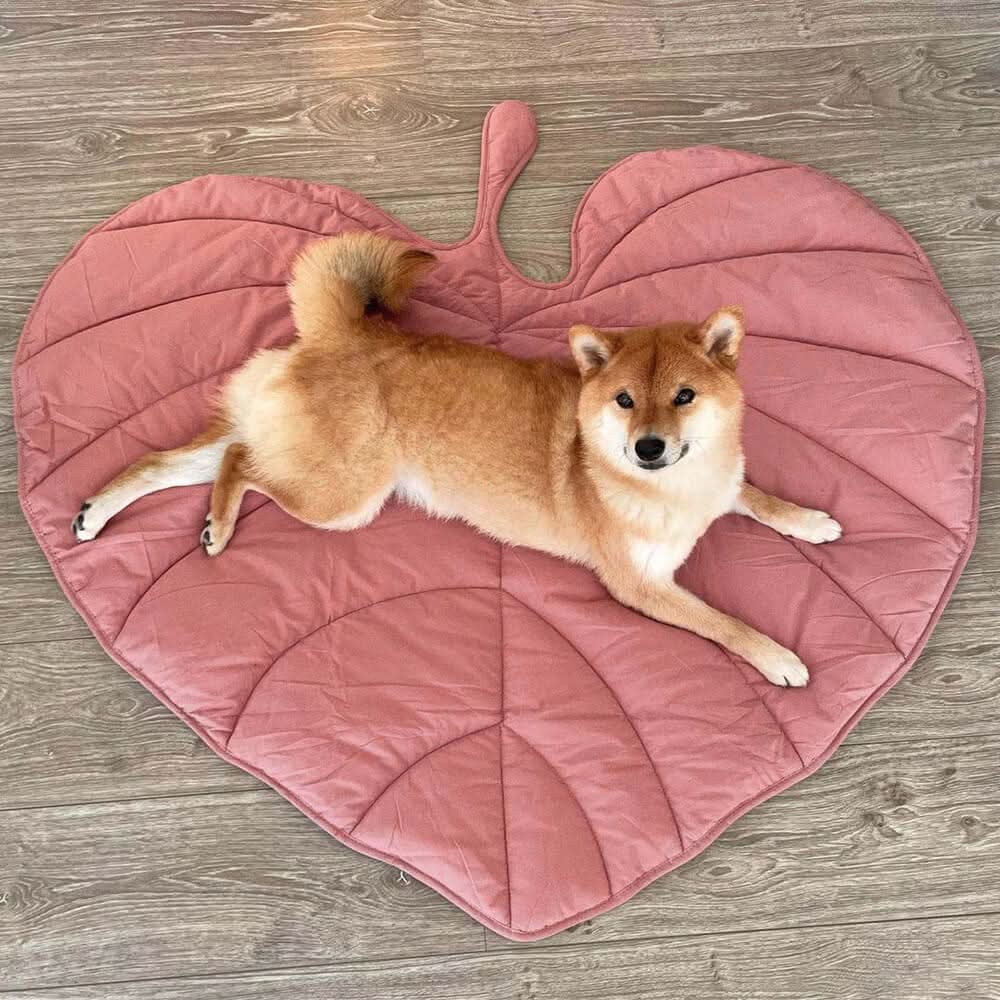 LEAF NEST – Leaf-Shaped Dog Blanket For Comfort & Home Style