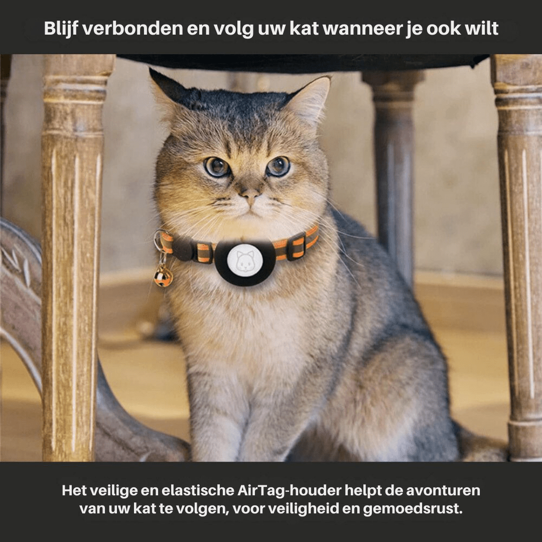 Katzensicher Ortung – GPS Ortungsgerät Halsband Für Sicherheit & Sichtbarkeit Bei Katzen