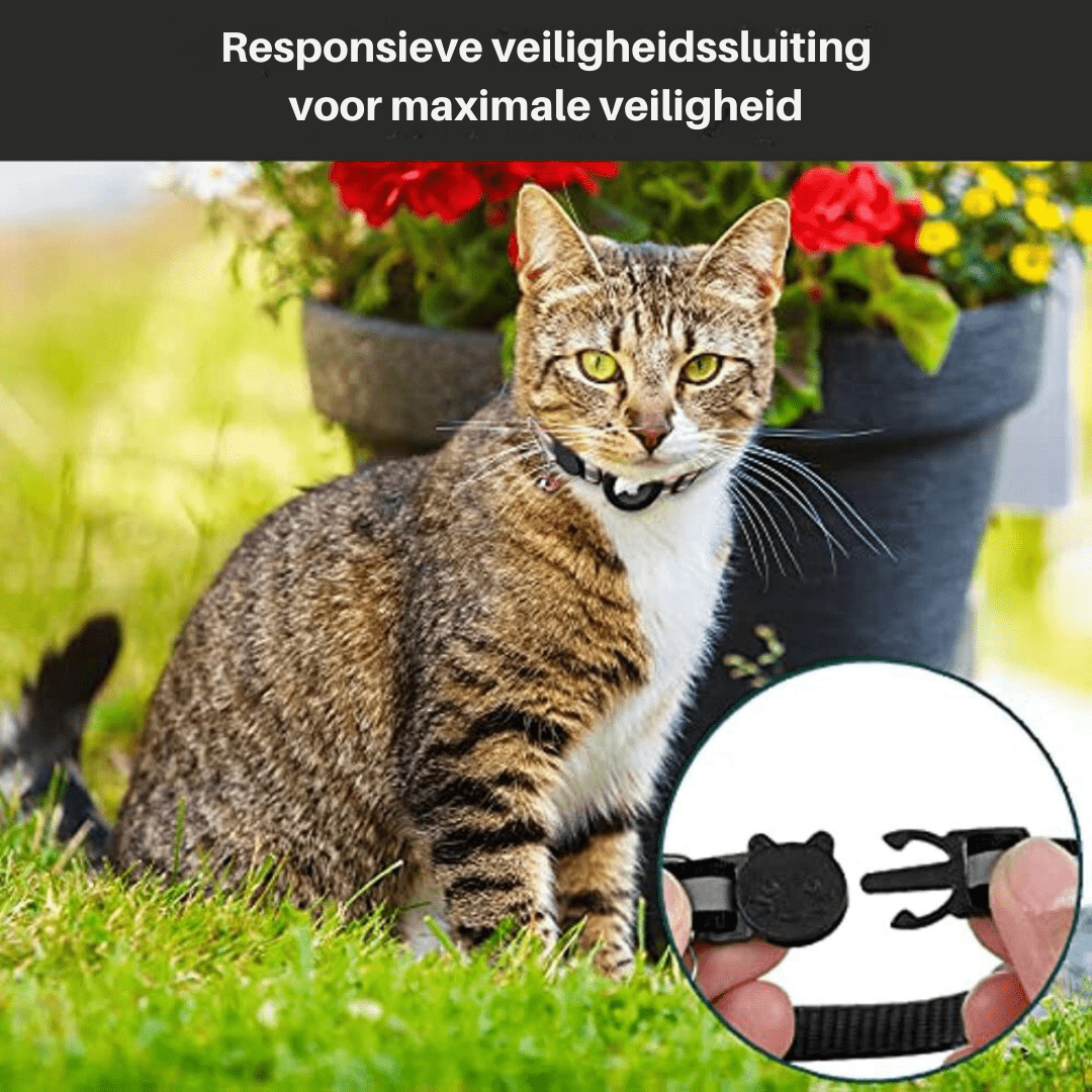 Katzensicher Ortung – GPS Ortungsgerät Halsband Für Sicherheit & Sichtbarkeit Bei Katzen
