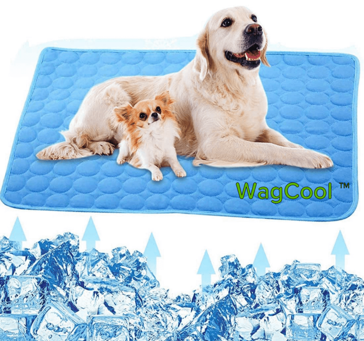 KühlTier Mat – Cooling Dog Mat for Hot Days and Instant Refreshment