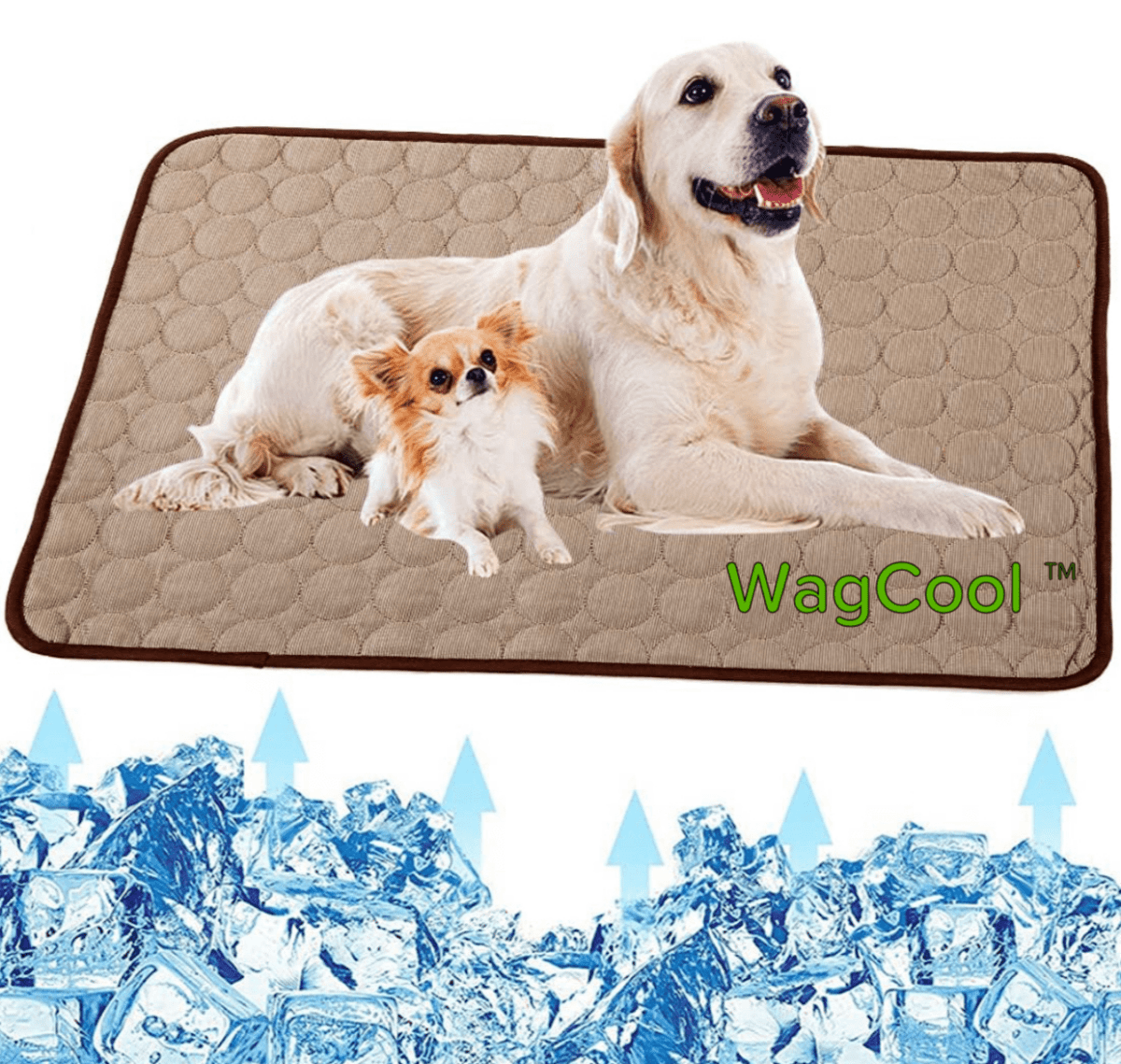 KühlTier Mat – Cooling Dog Mat for Hot Days and Instant Refreshment