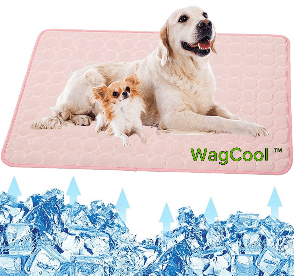 KühlTier Mat – Cooling Dog Mat for Hot Days and Instant Refreshment
