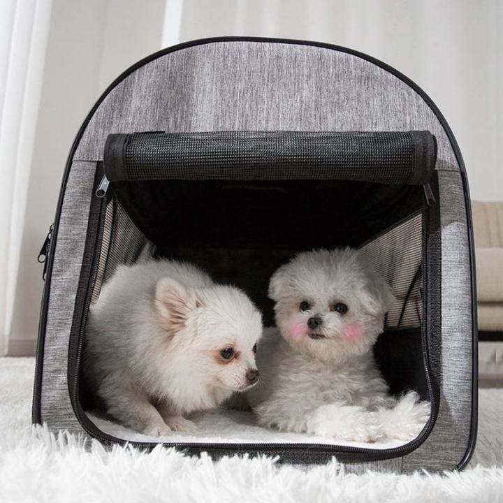 Praktisch Faltbare Hunde Transport Tasche
