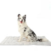 Cool Paws Cooling Mat - Self-Cooling Dog Mat for Hot Summer Days & Relaxed Four-Legged Friends