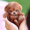 PlushWoof – Realistic Dog for Children That Responds to Touch