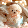 PlushWoof – Realistic Dog for Children That Responds to Touch