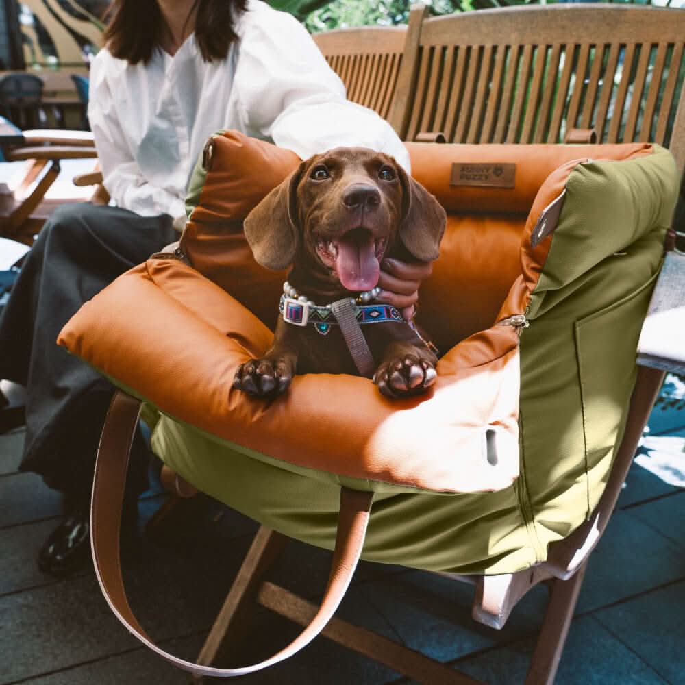PAWLUXURY – Luxury Dog Car Seat With Seatbelt For Stylish Car Rides