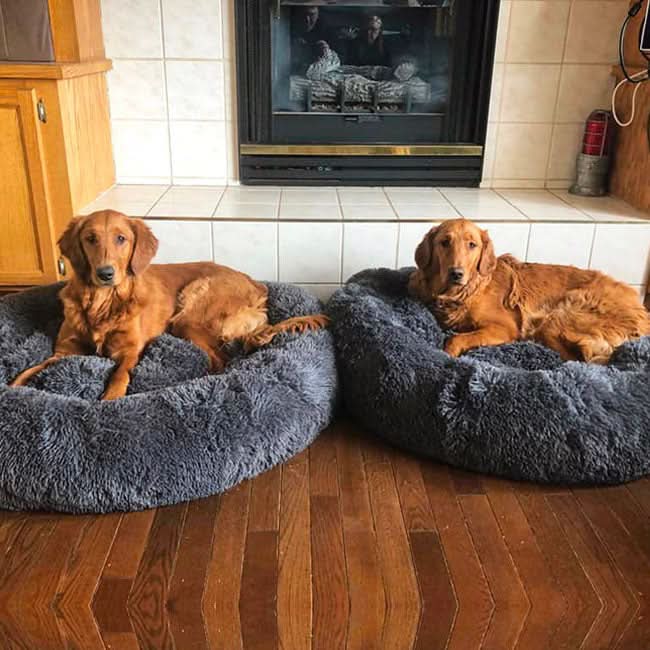 FUZZYPLUSH – Orthopedic Plush Dog Bed For Deep Sleep