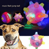 PLAYORB – Interaktiver LED-Sprungball für Hunde
