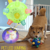 PLAYORB – Interaktiver LED-Sprungball für Hunde