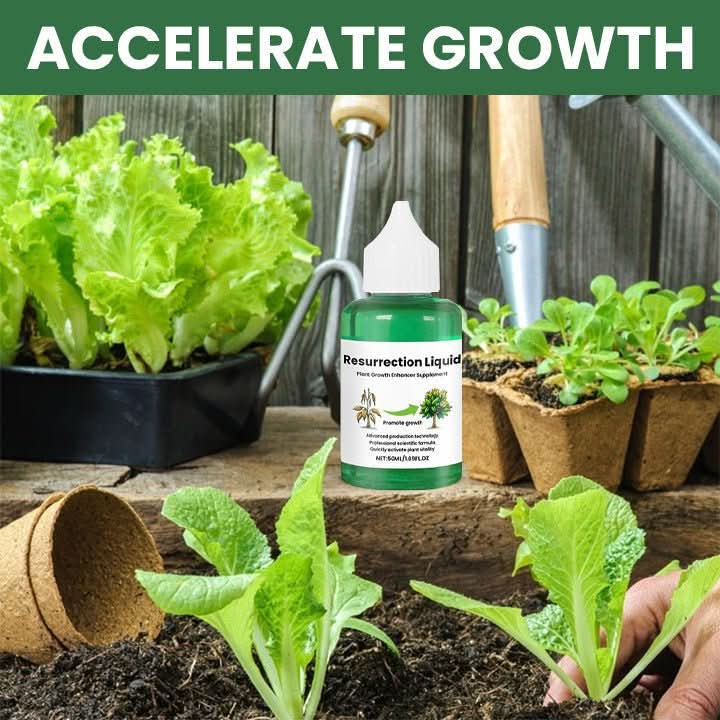 ROOTNOVA – Plant Tonic For Healthy Growth And Strong Roots