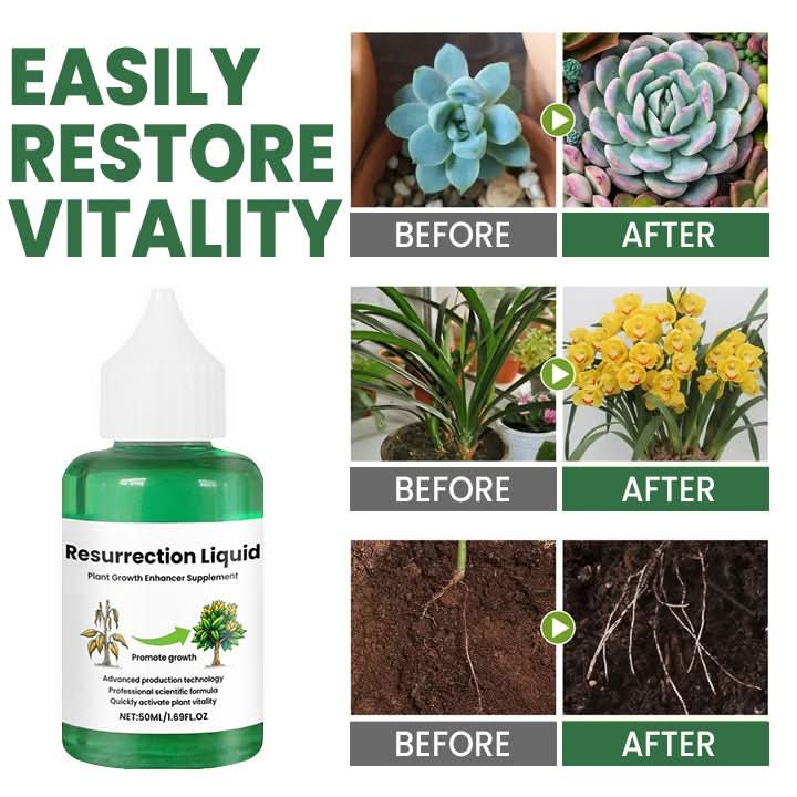 ROOTNOVA – Plant Tonic For Healthy Growth And Strong Roots