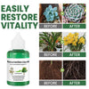 ROOTNOVA – Plant Tonic For Healthy Growth And Strong Roots