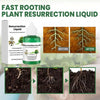 ROOTNOVA – Plant Tonic For Healthy Growth And Strong Roots