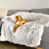 Pet Sofa – Cozy Retreat for Your Pet & Protection for Your Furniture